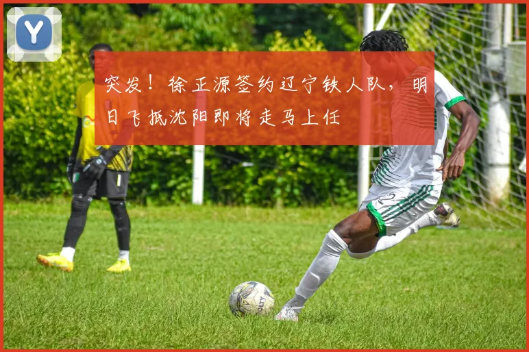 突发！徐正源签约辽宁铁人队，明日飞抵沈阳即将走马上任
